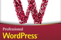 WordPress Plugins Development And Strategy